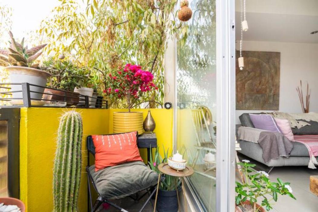 Pequena Habitacion Frida - Design Cdmx - Areas Comunes Compartidas Mexico City Exterior photo